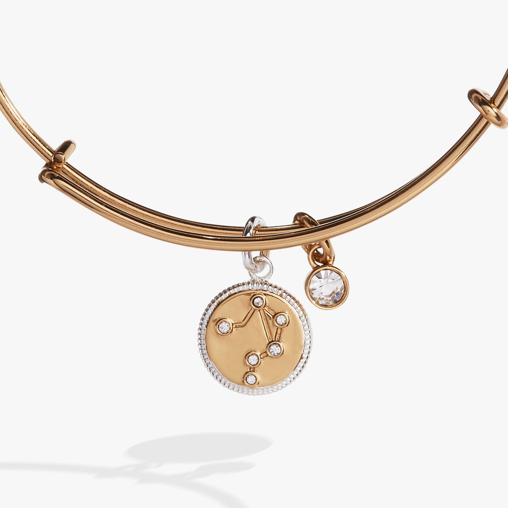 Libra Zodiac Charm Bangle Two Tone | Alex and Ani