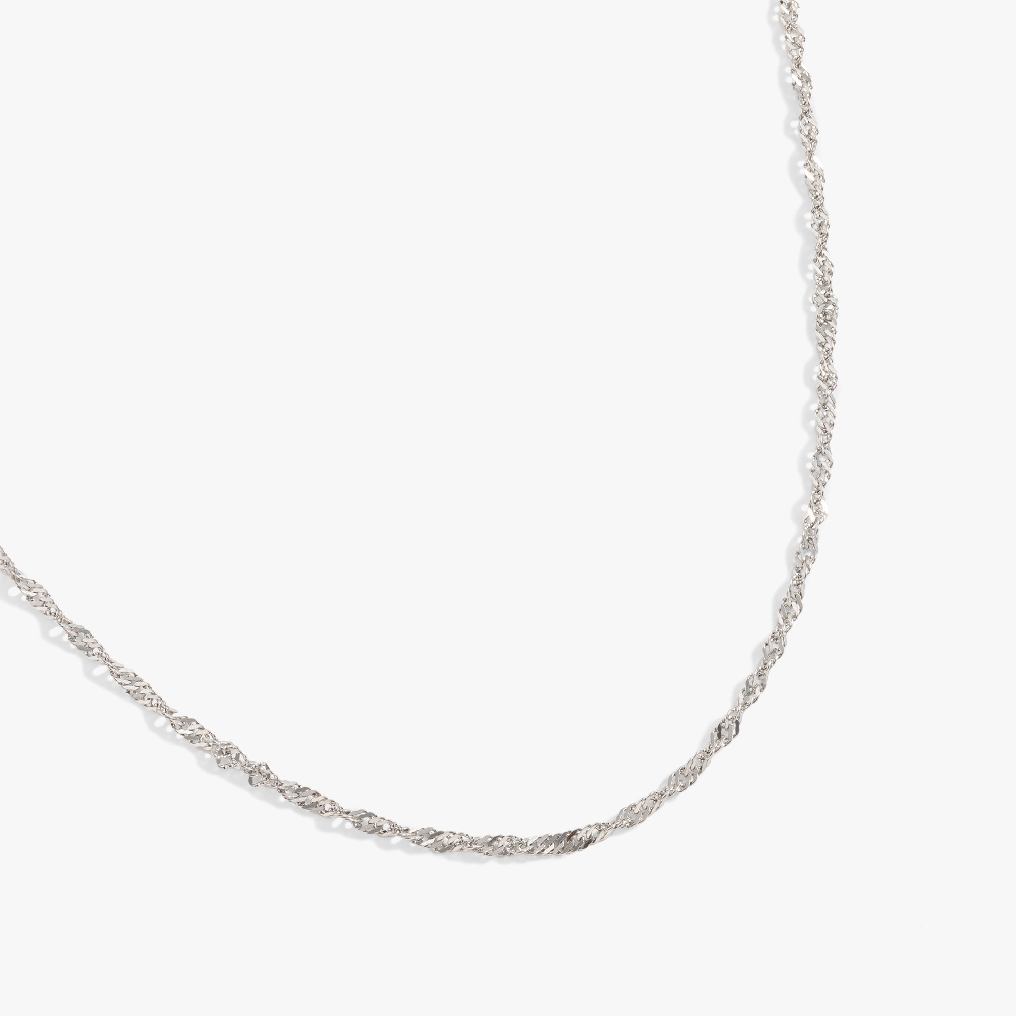 Singapore Chain Charm & Layering Necklace| Alex and Ani Stainless Steel Silver | Alex and Ani