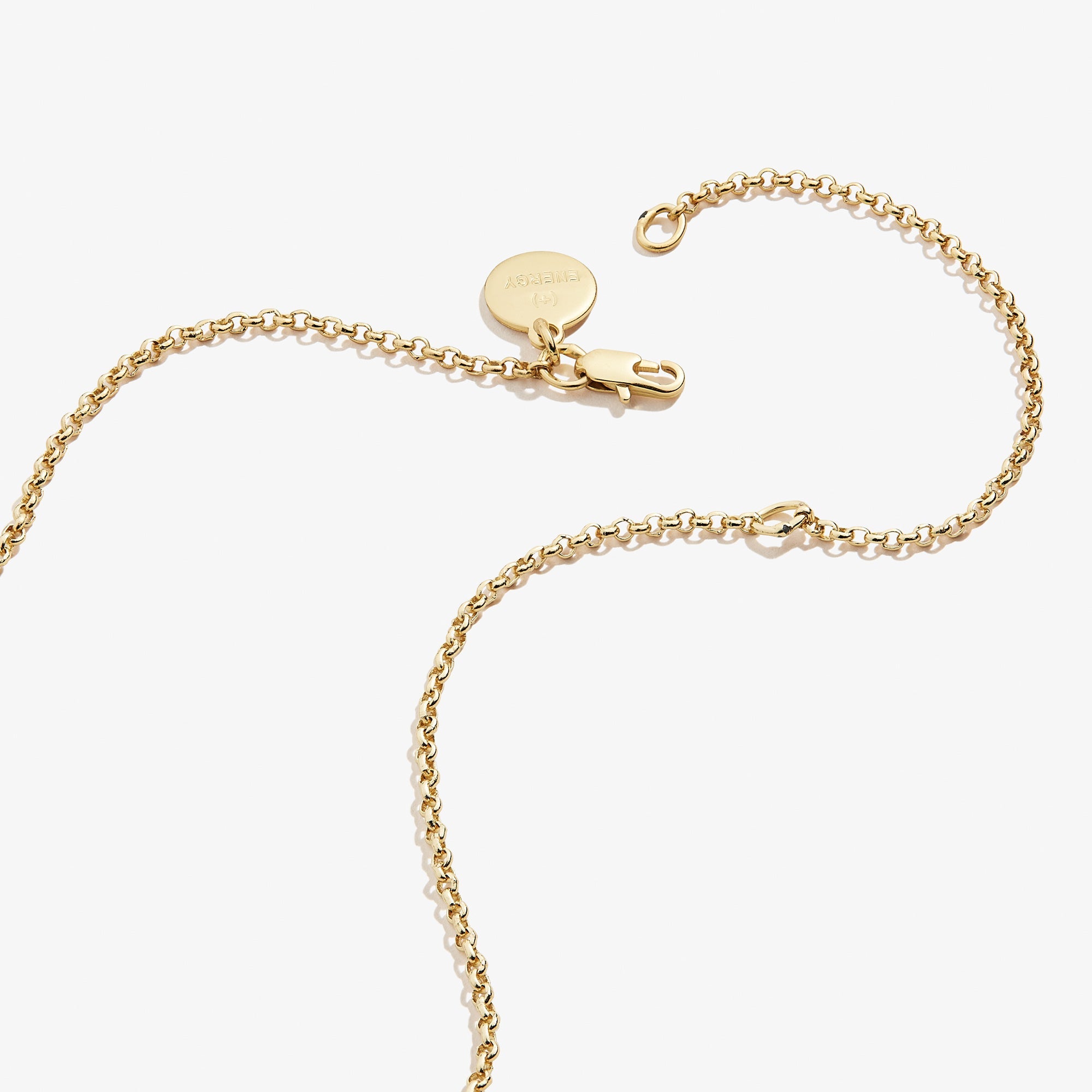 Circle Charm Necklace, 19'' - Alex and Ani Silver | Alex and Ani