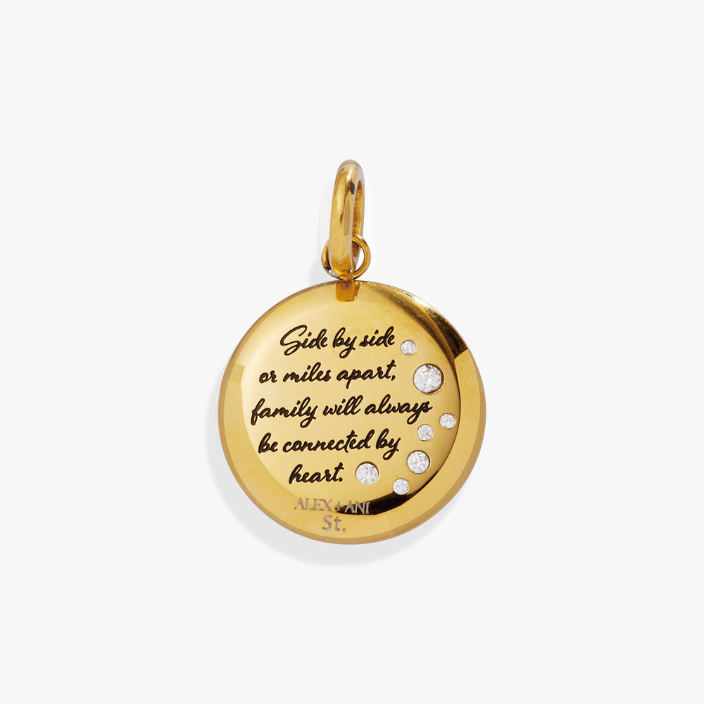 Daughter Dandelion Disc Charm Stainless Steel Silver | Alex and Ani