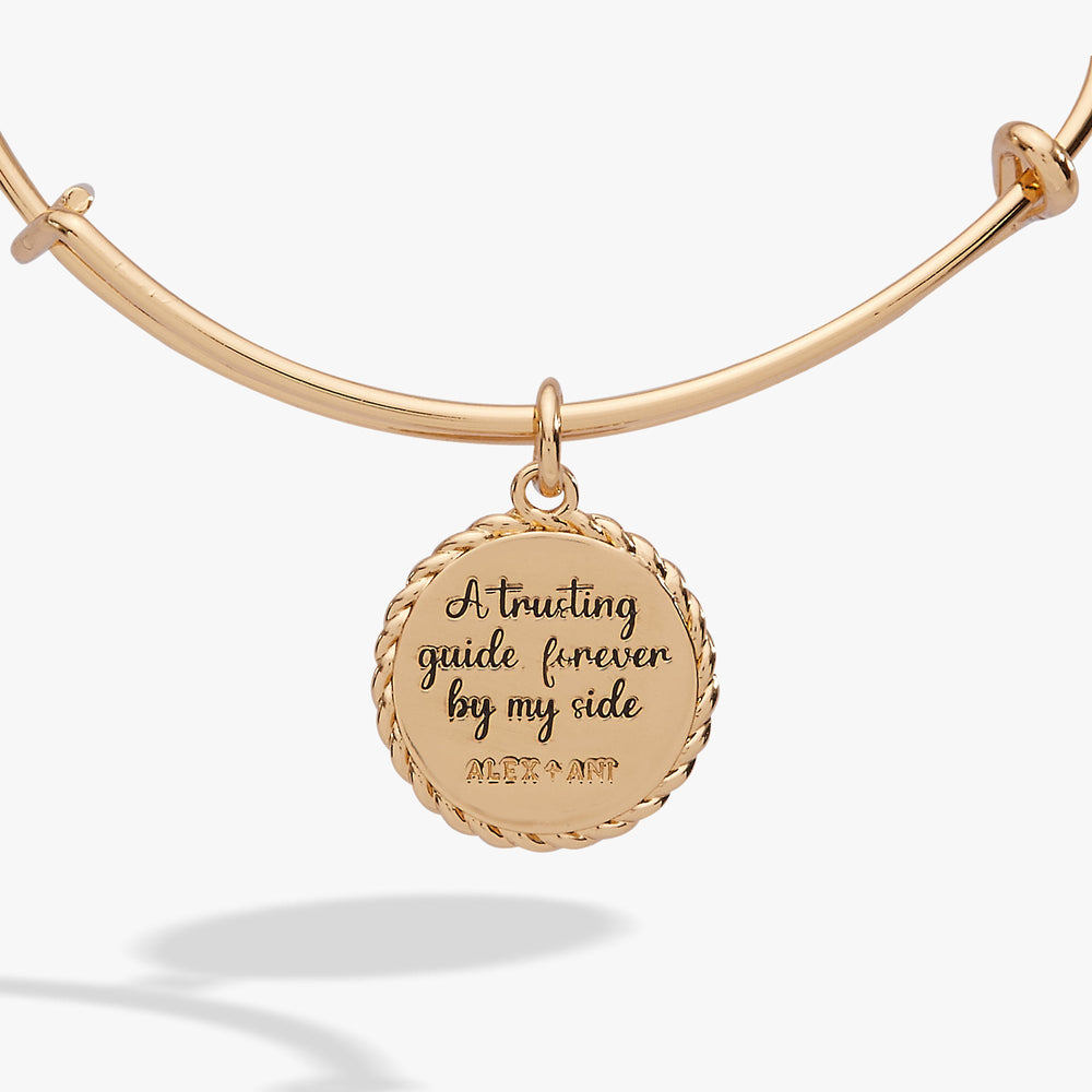 Aunt Charm Bangle Gold | Alex and Ani