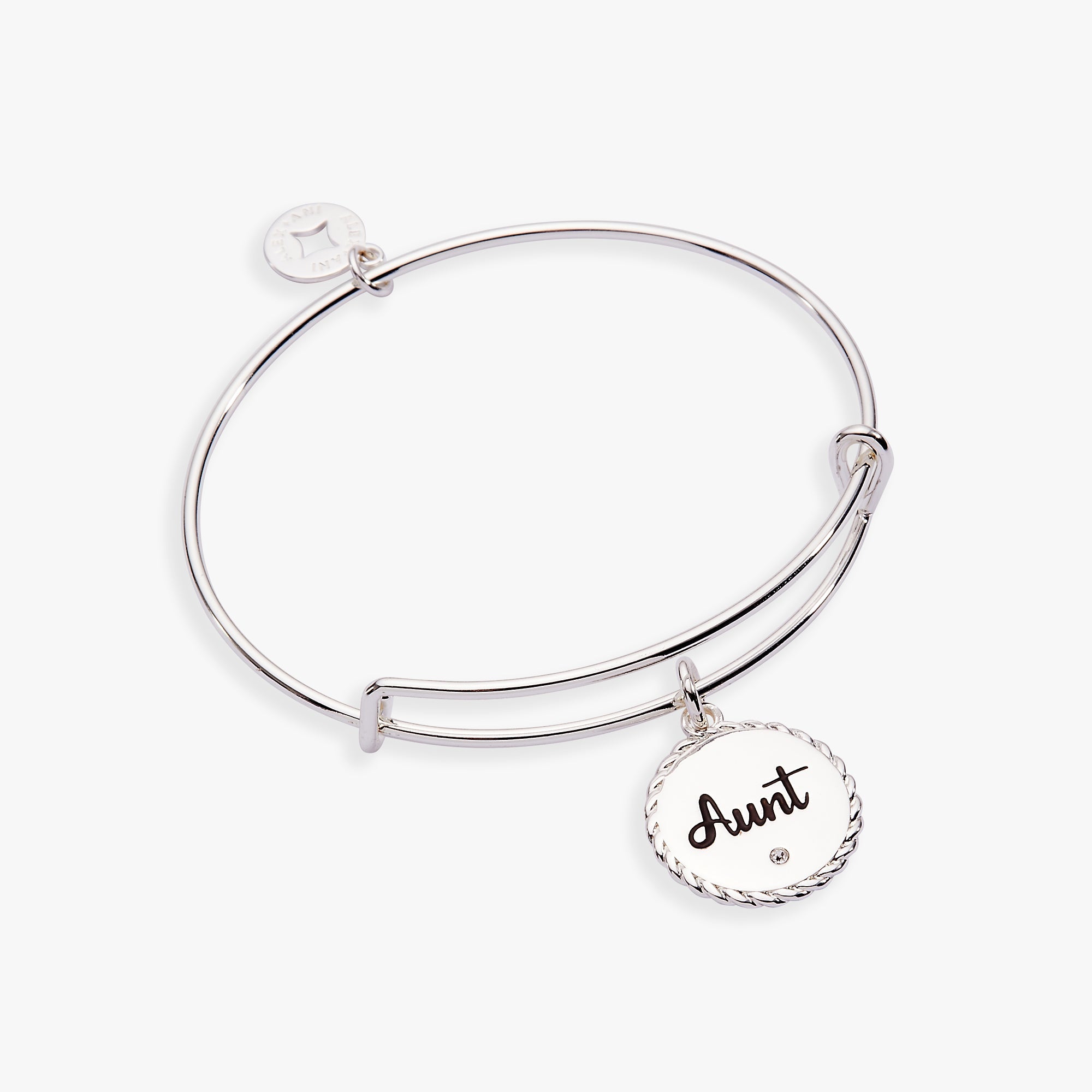 Aunt Charm Bangle Gold | Alex and Ani