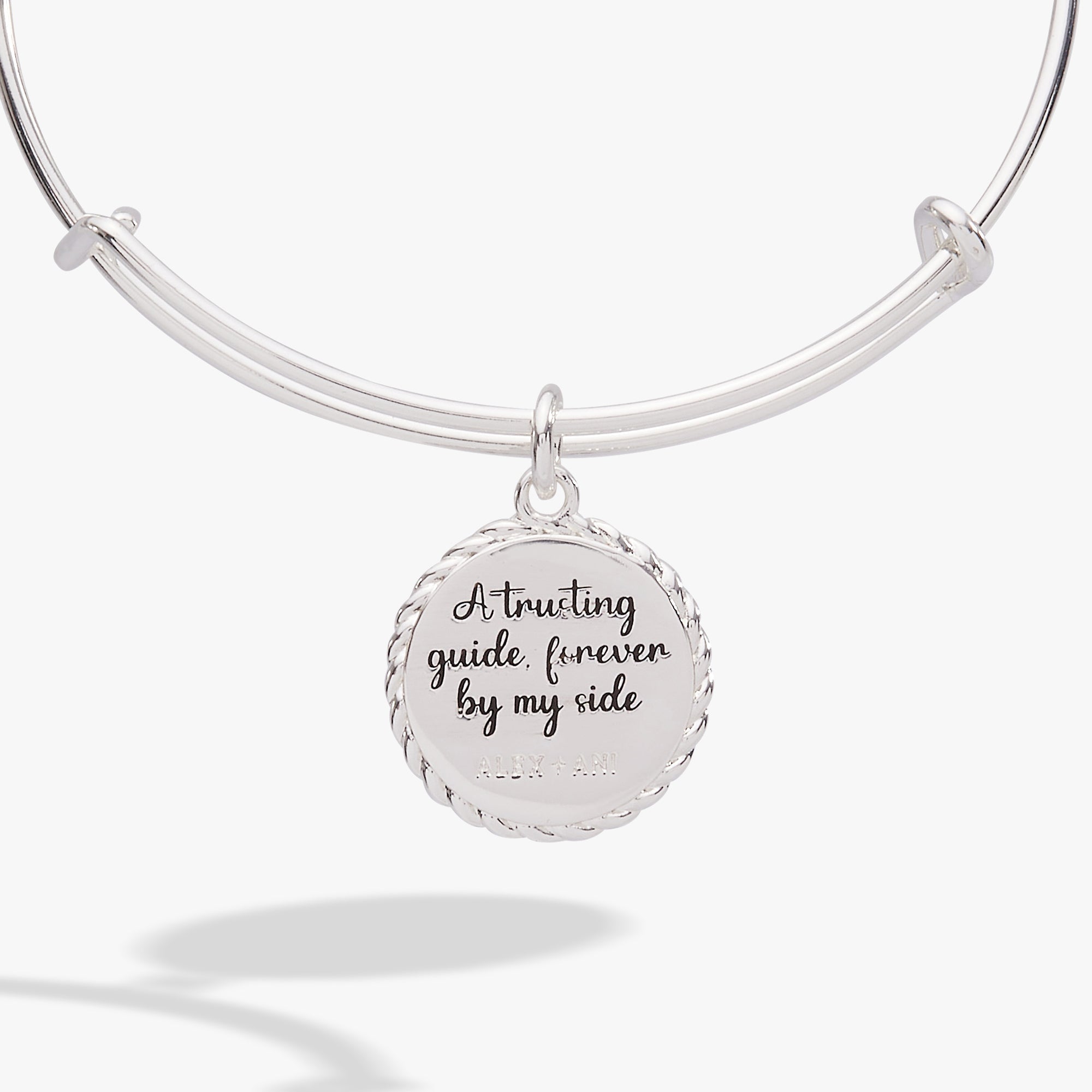 Aunt Charm Bangle Gold | Alex and Ani