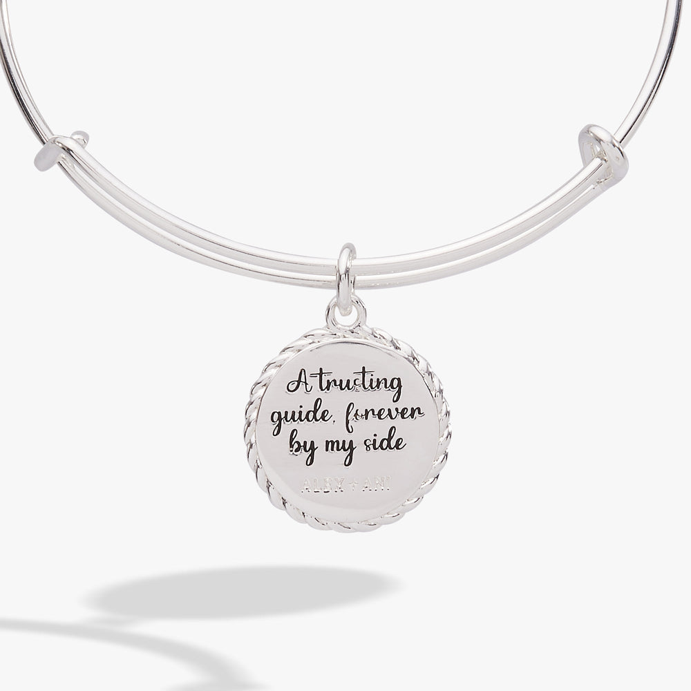 Aunt Charm Bangle Gold | Alex and Ani