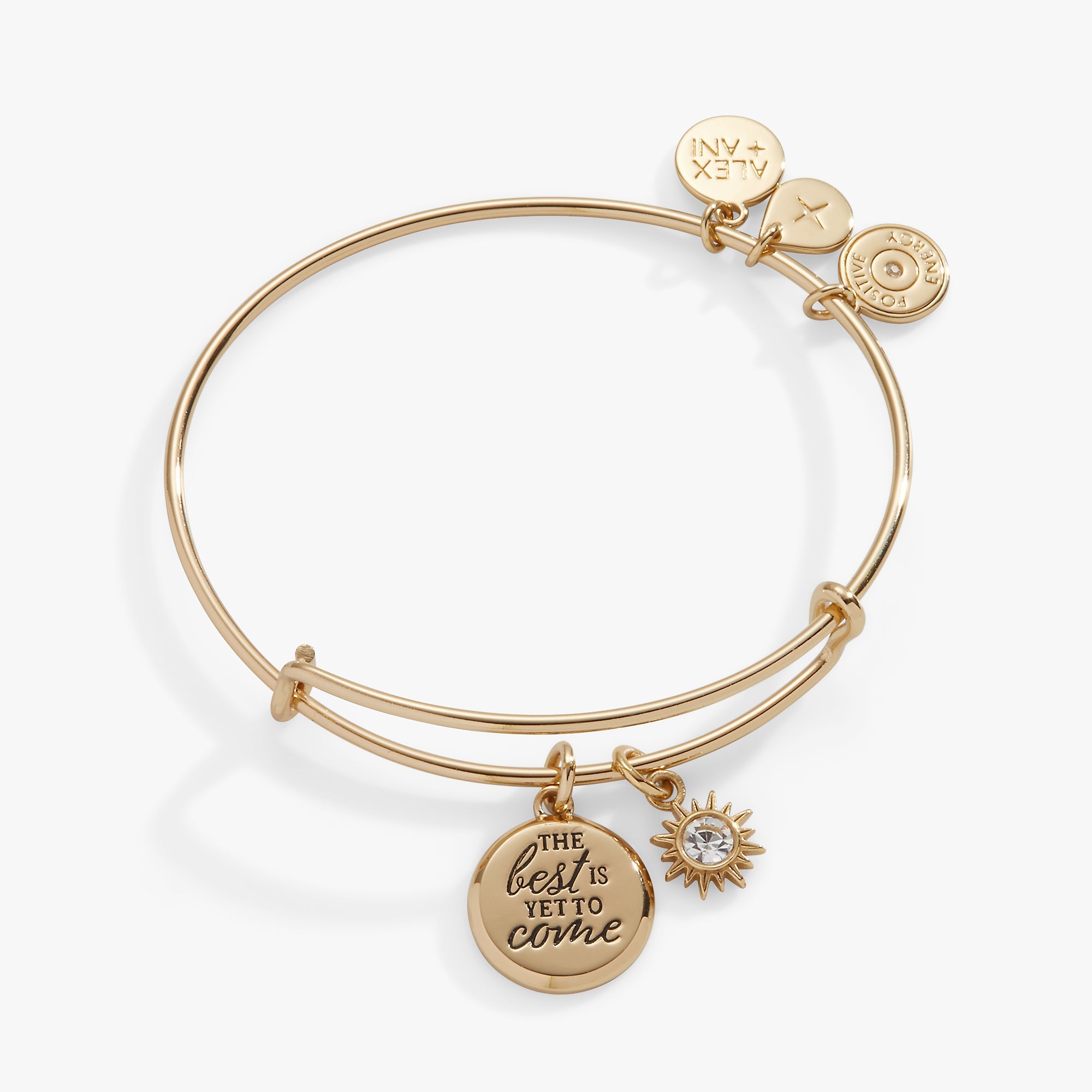 The Best Is Yet To Come' Duo Charm Bangle
    
    
    
       Silver | Alex and Ani