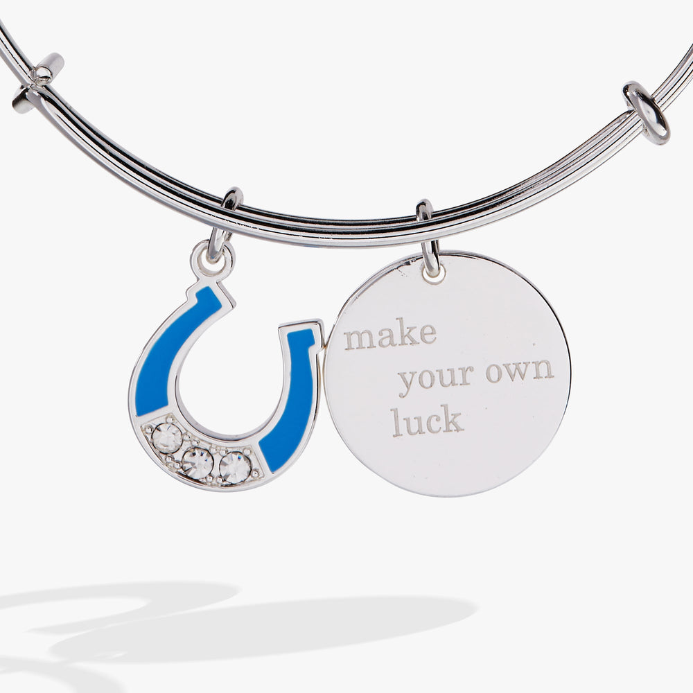 “Make Your Own Luck” Duo Charm Bangle Silver | Alex and Ani