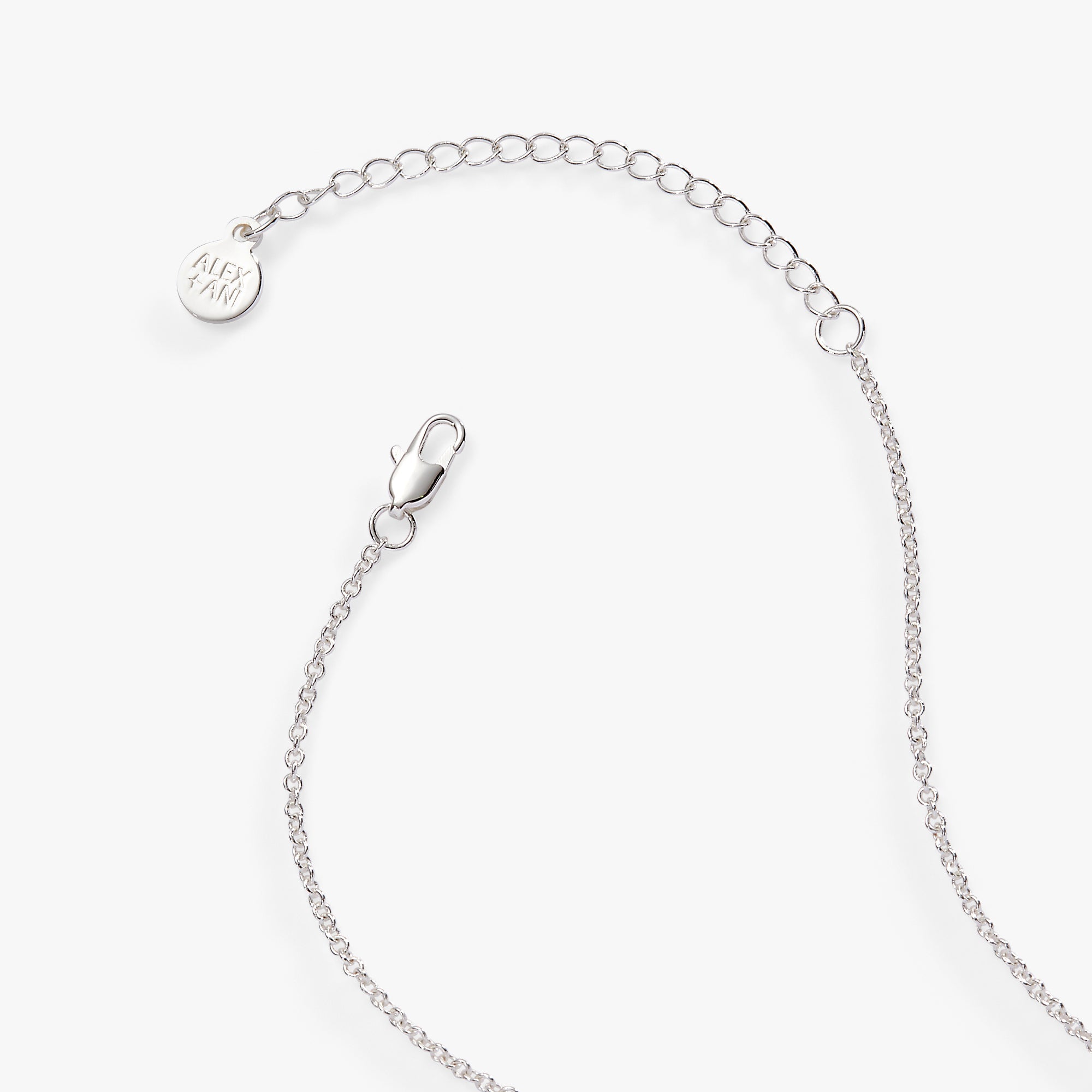 “Wild at Heart” Duo Charm Pendant Necklace Silver | Alex and Ani