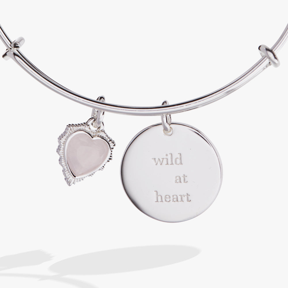 “Wild at Heart” Duo Charm Bangle Silver | Alex and Ani
