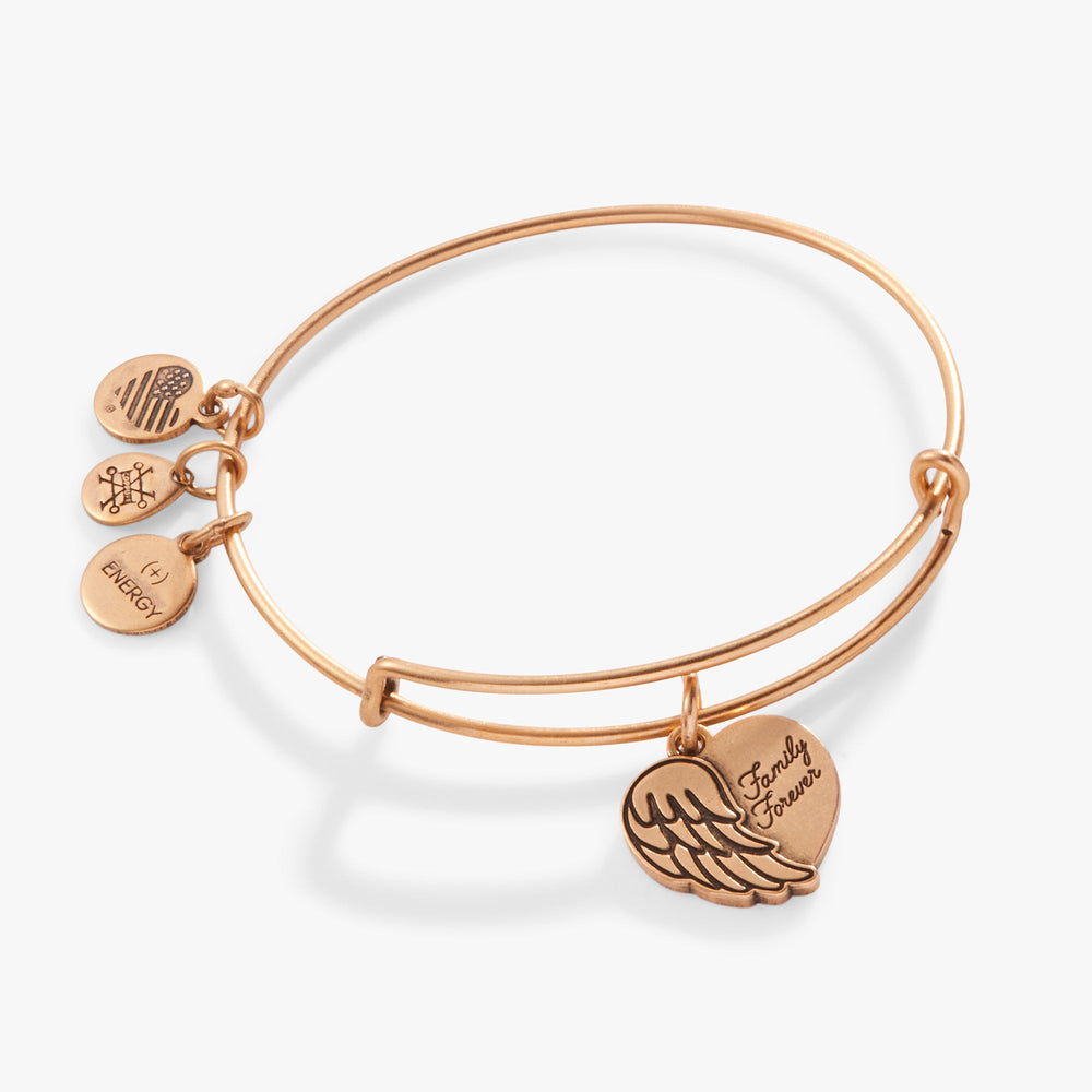 Family Forever' Angel Wing Heart Charm Bangle
    
    
    
       Rafaelian Silver | Alex and Ani