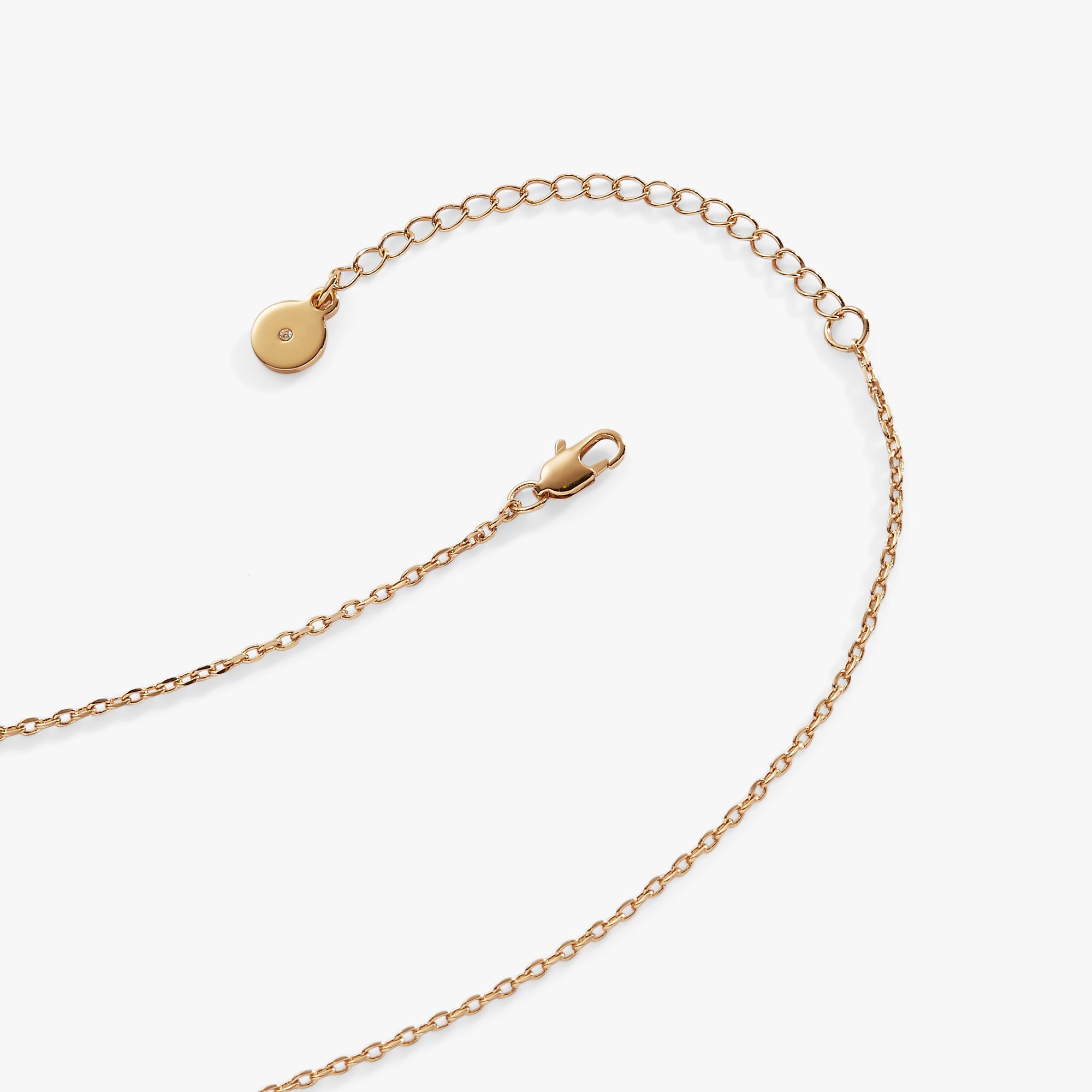 BOM - Champagne necklace Gold | Alex and Ani