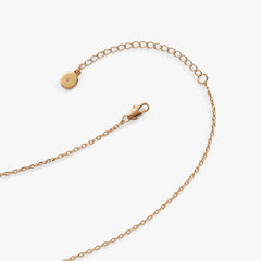 BOM - Champagne necklace Gold | Alex and Ani