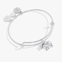 Elephant Charm Bangle Silver | Alex and Ani