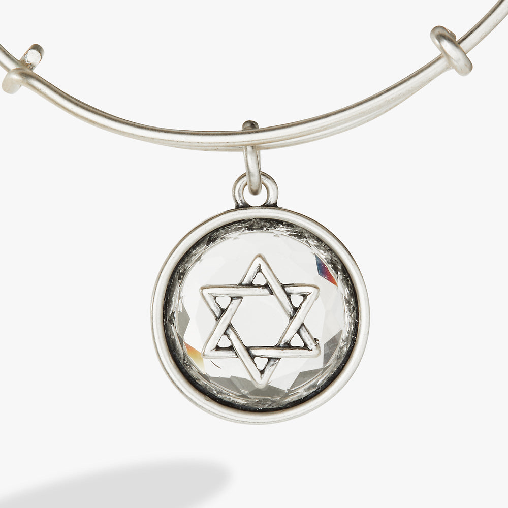 Star of David Crystal Charm Bangle Antique Silver | Alex and Ani