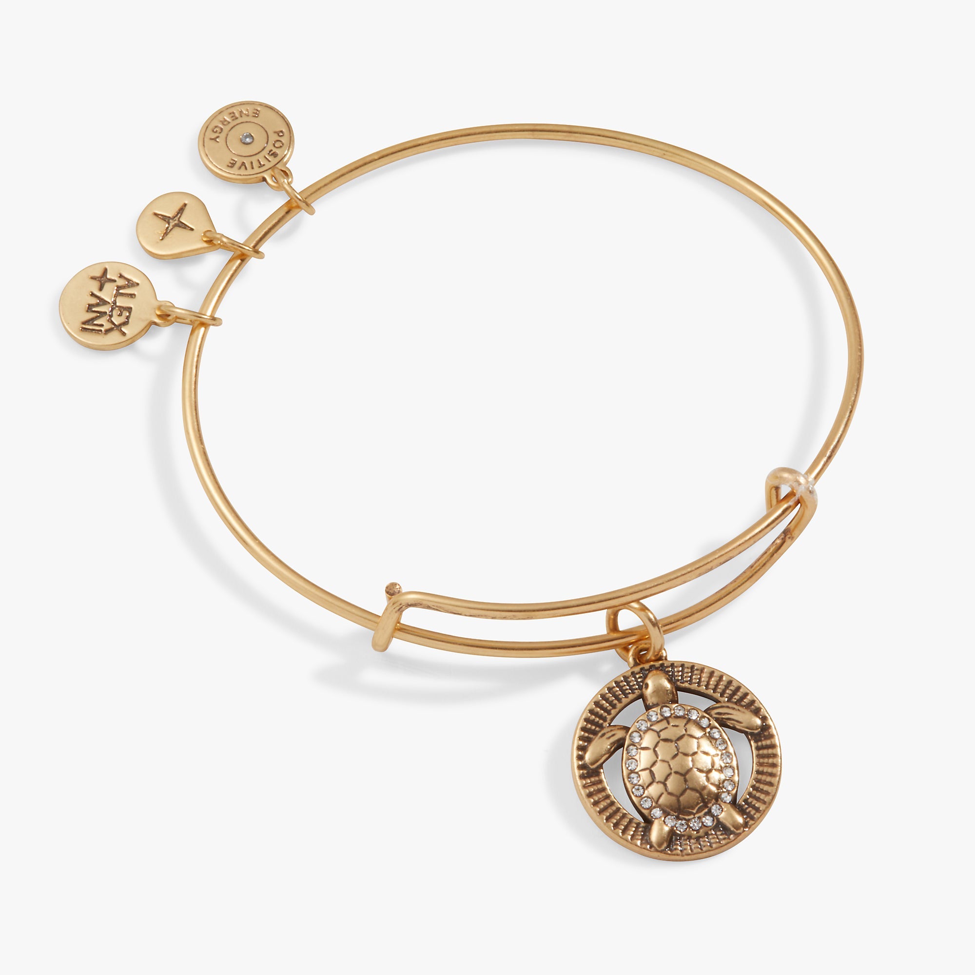 Turtle Charm Bangle Antiqued Gold | Alex and Ani
