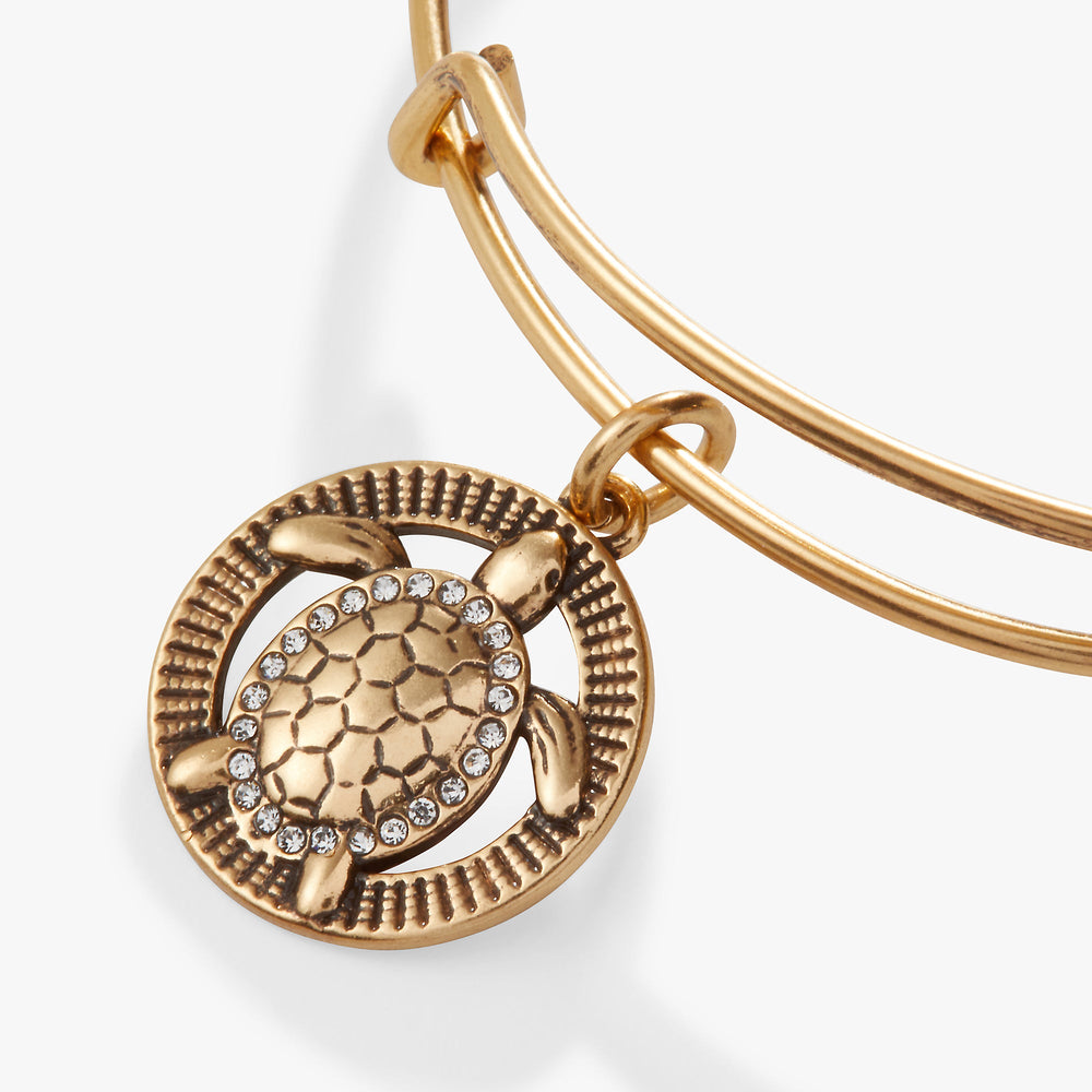 Turtle Charm Bangle Antiqued Gold | Alex and Ani