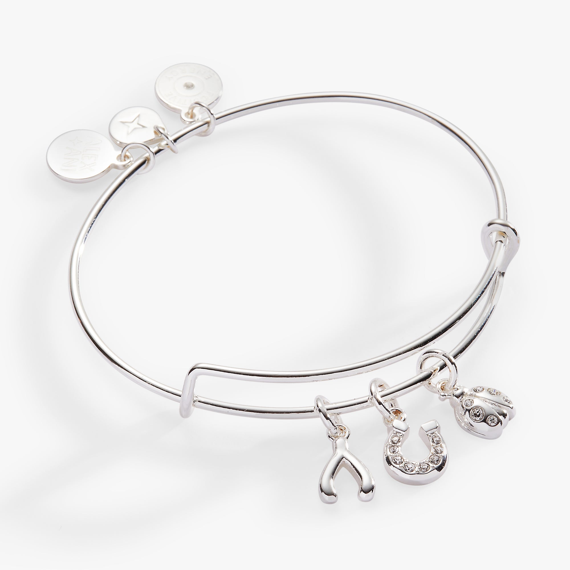 Love and Luck Multi-Charm Bangle Gold | Alex and Ani