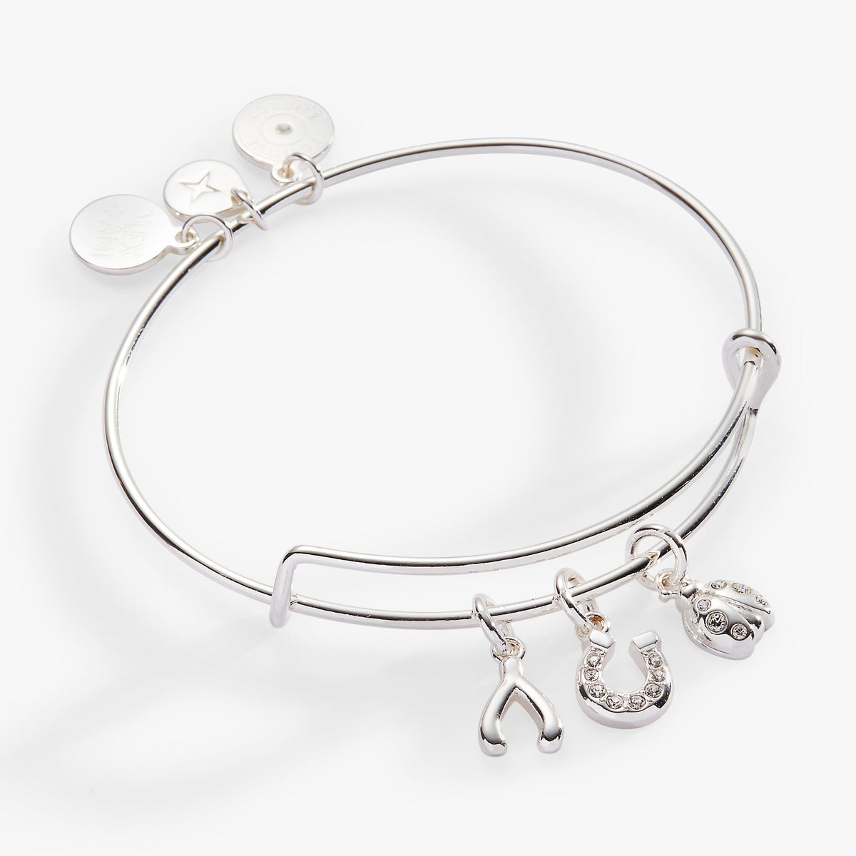 Love and Luck Multi-Charm Bangle Gold | Alex and Ani