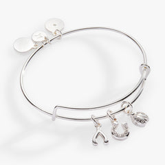 Love and Luck Multi-Charm Bangle Gold | Alex and Ani