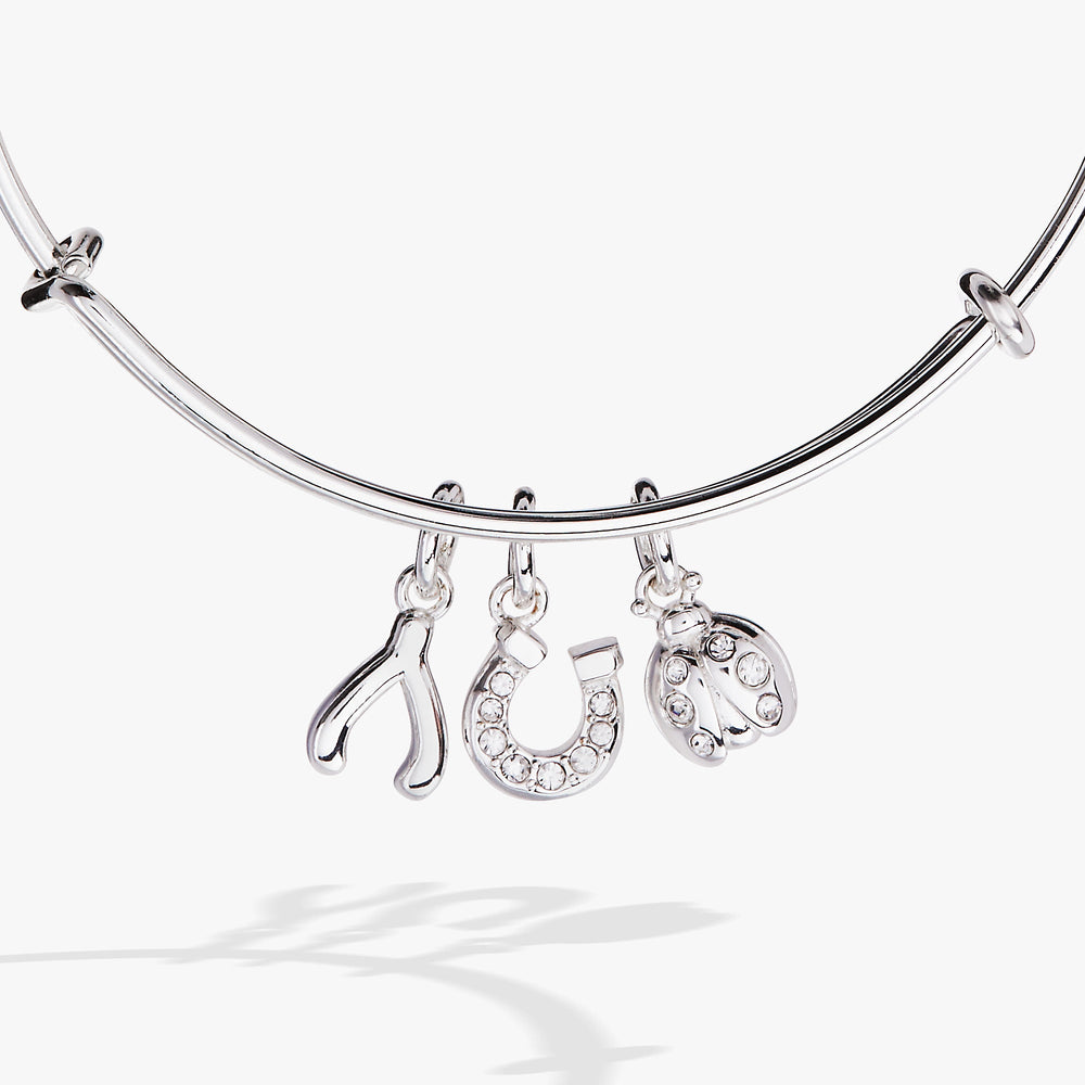 Love and Luck Multi-Charm Bangle Gold | Alex and Ani