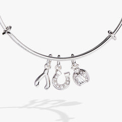 Love and Luck Multi-Charm Bangle Gold | Alex and Ani