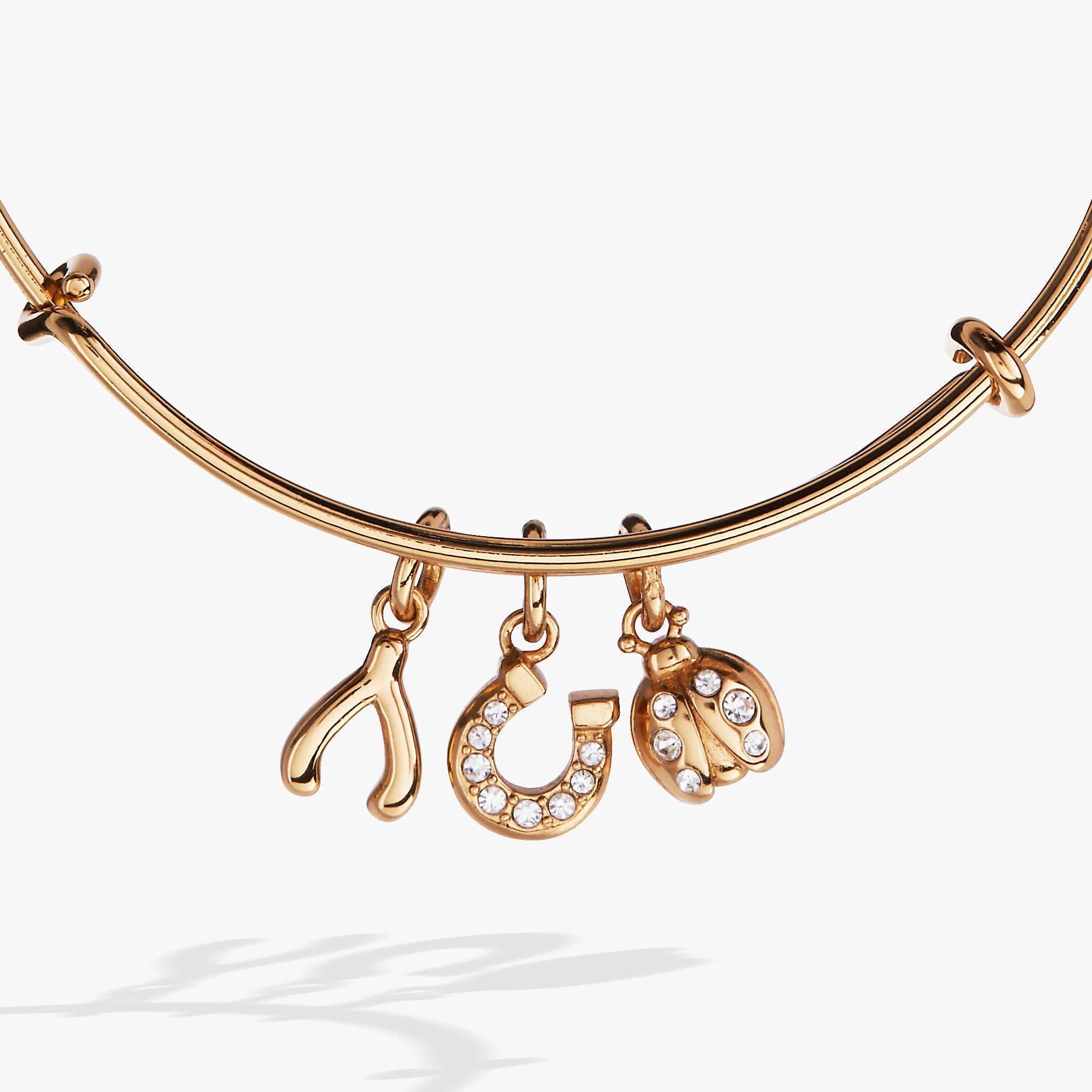 Love and Luck Multi-Charm Bangle Gold | Alex and Ani