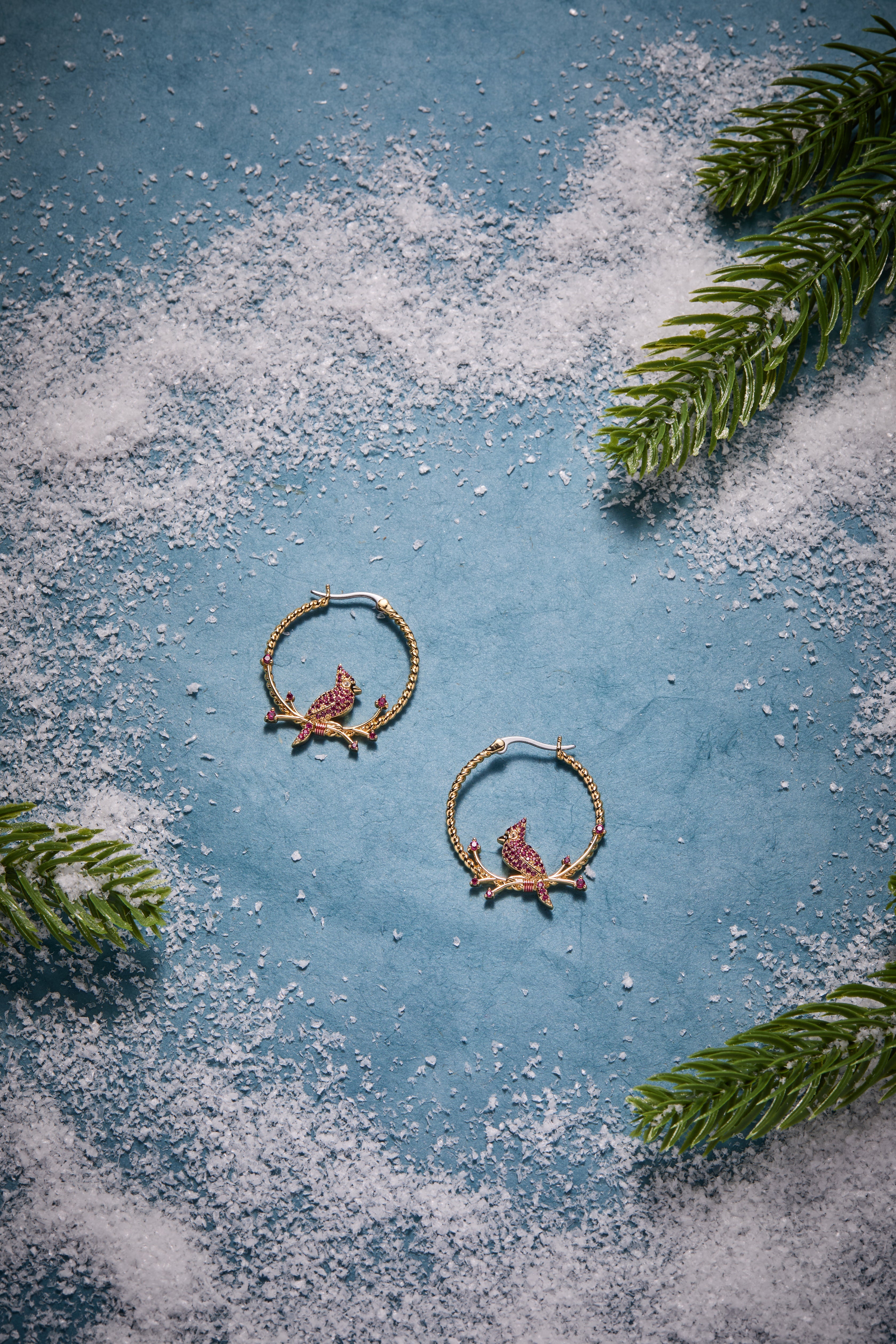 Cardinal Hoop Earrings Silver | Alex and Ani