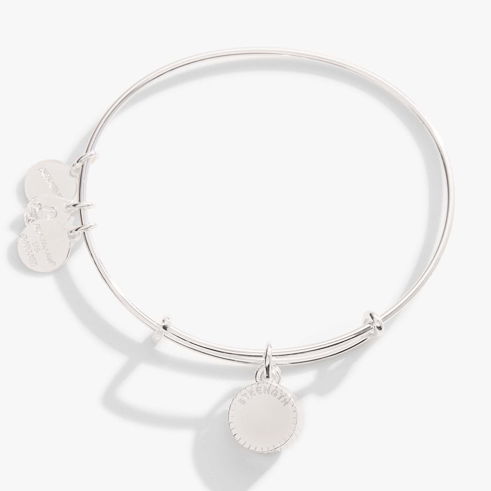 Topaz November Birthstone Charm Bangle Gold | Alex and Ani