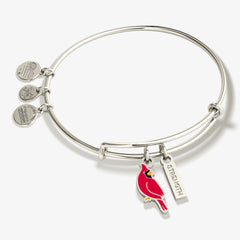 Strength' Cardinal Charm Bangle Bracelet
    
    
    
       Shiny Silver | Alex and Ani