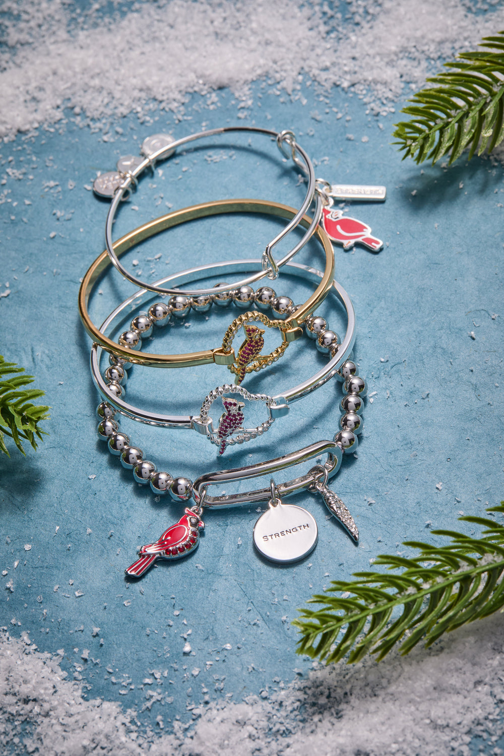 Strength' Cardinal Charm Bangle Bracelet
    
    
    
       Shiny Silver | Alex and Ani