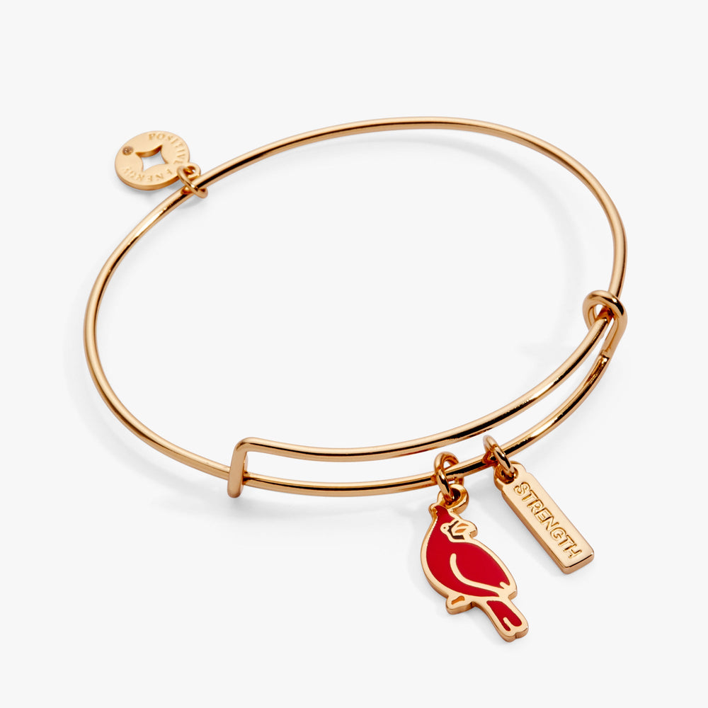 Strength' Cardinal Charm Bangle Bracelet
    
    
    
       Shiny Silver | Alex and Ani