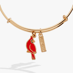 Strength' Cardinal Charm Bangle Bracelet
    
    
    
       Shiny Silver | Alex and Ani