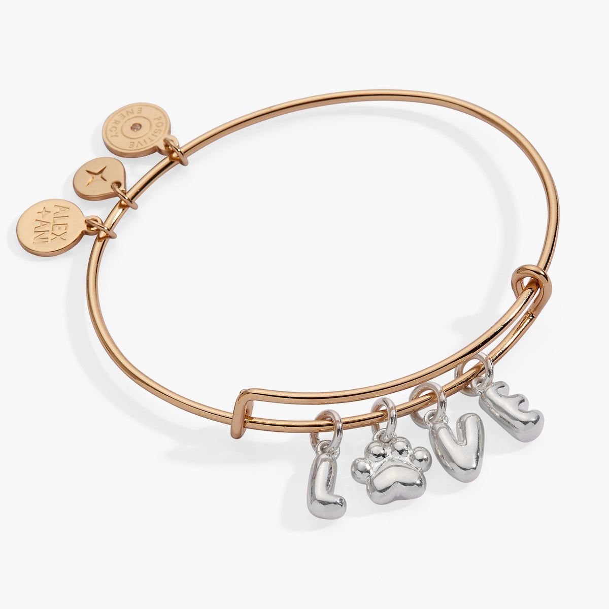 Pet Love Multi Charm Bangle Two Tone | Alex and Ani