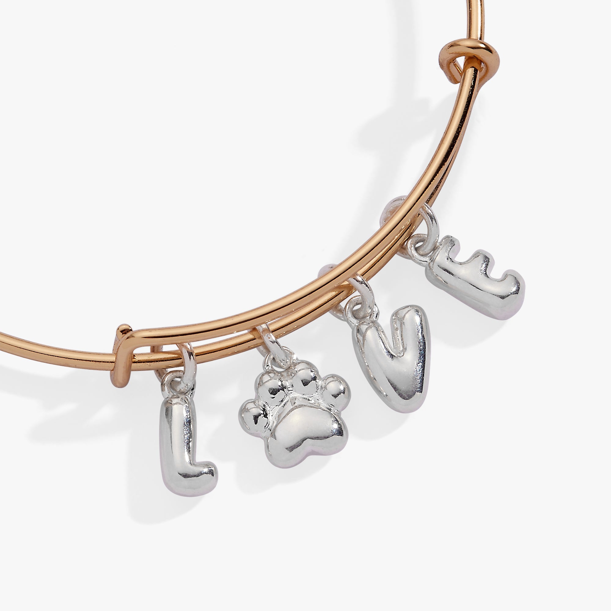 Pet Love Multi Charm Bangle Two Tone | Alex and Ani