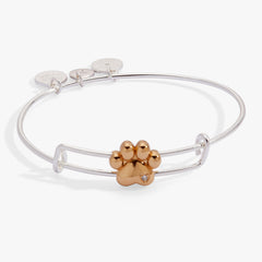 Paw Slider Bangle Two Tone | Alex and Ani