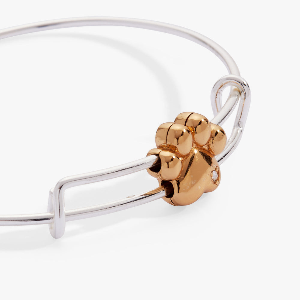 Paw Slider Bangle Two Tone | Alex and Ani