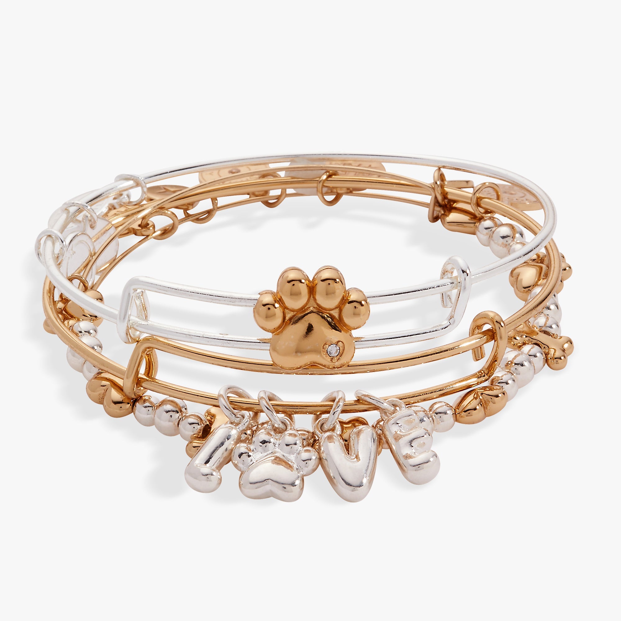Puppy Love EWB Set of 3 Two Tone | Alex and Ani