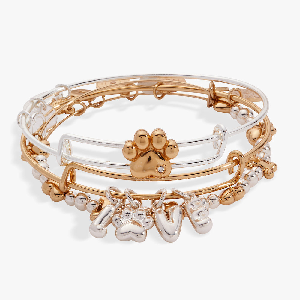 Puppy Love EWB Set of 3 Two Tone | Alex and Ani