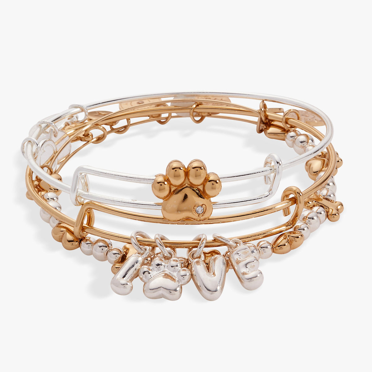 Puppy Love EWB Set of 3 Two Tone | Alex and Ani