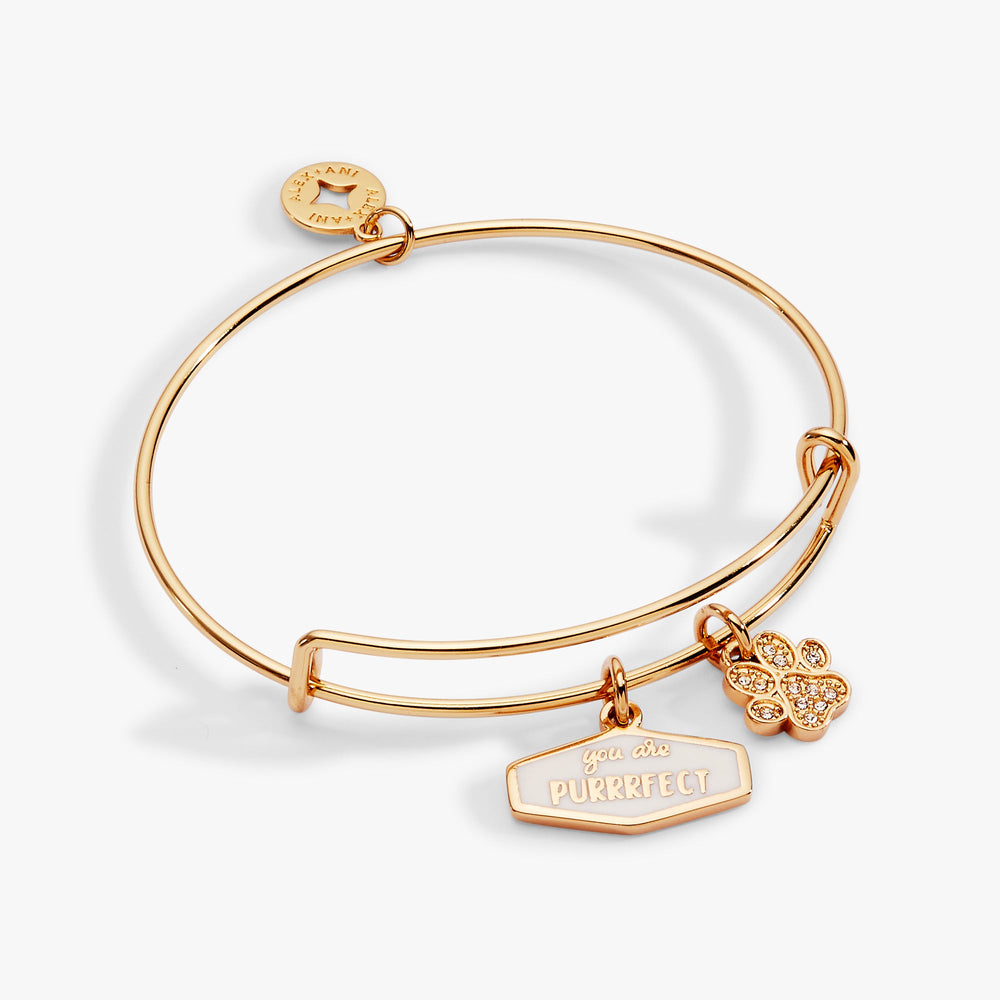 You Are Purrrfect Charm Bangle Gold | Alex and Ani