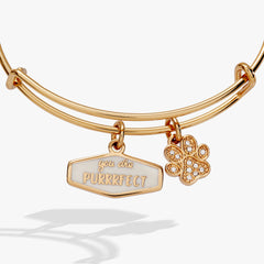 You Are Purrrfect Charm Bangle Gold | Alex and Ani