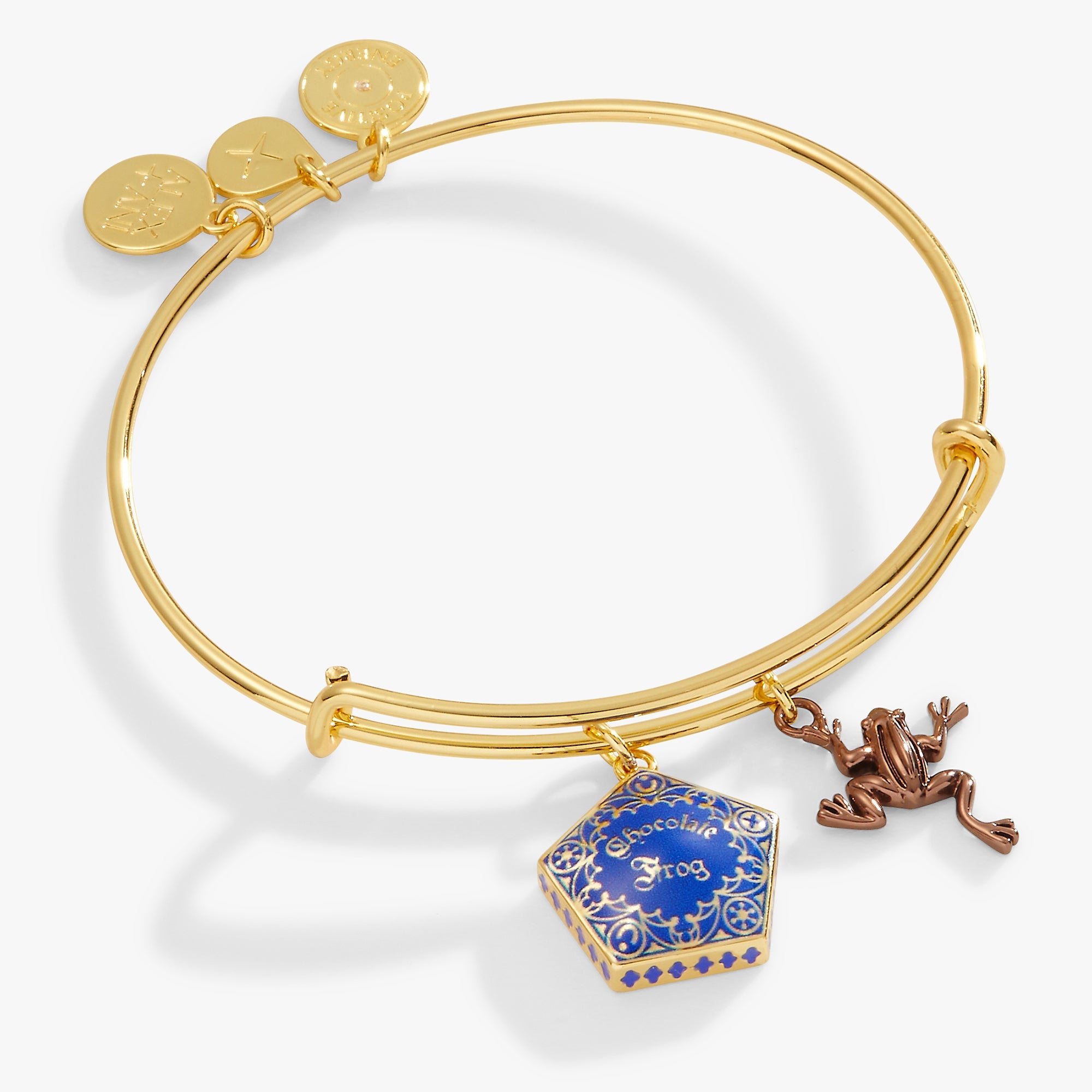 Harry Potter™ Chocolate Frog Two-Charm Bangle Two Tone | Alex and Ani