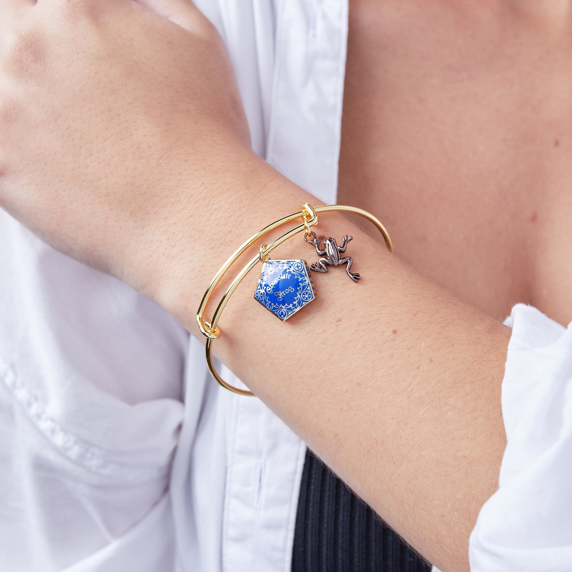 Harry Potter™ Chocolate Frog Two-Charm Bangle Two Tone | Alex and Ani