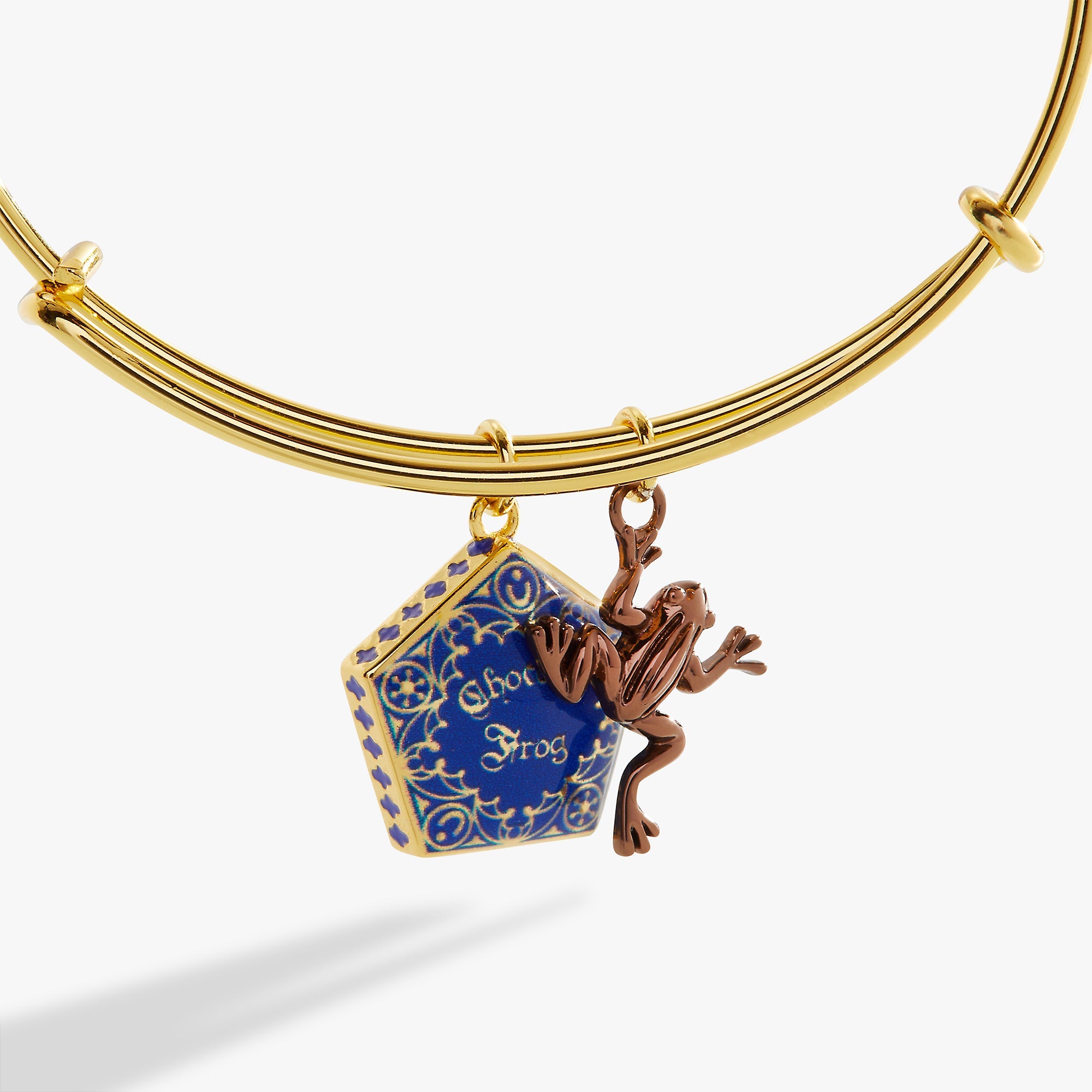 Harry Potter™ Chocolate Frog Two-Charm Bangle Two Tone | Alex and Ani