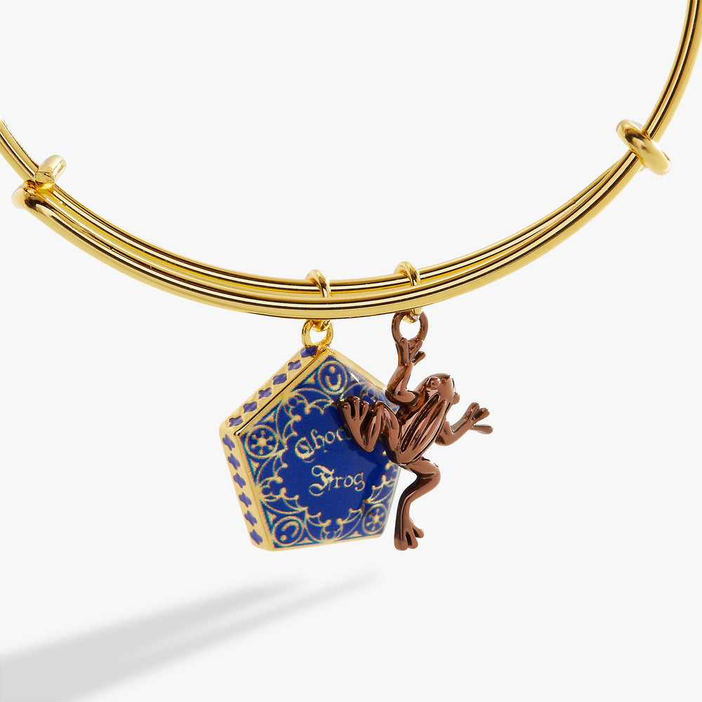 Harry Potter™ Chocolate Frog Two-Charm Bangle Two Tone | Alex and Ani