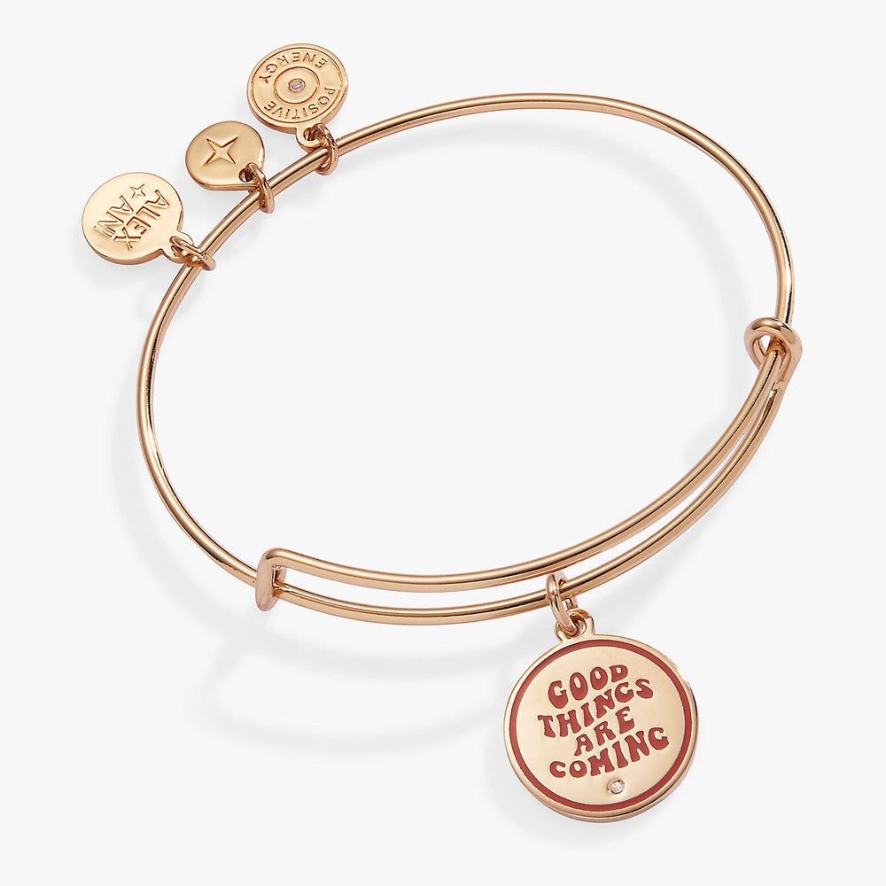 Good Things Are Coming' Mantra Charm Bangle
    
    
    
       Gold | Alex and Ani