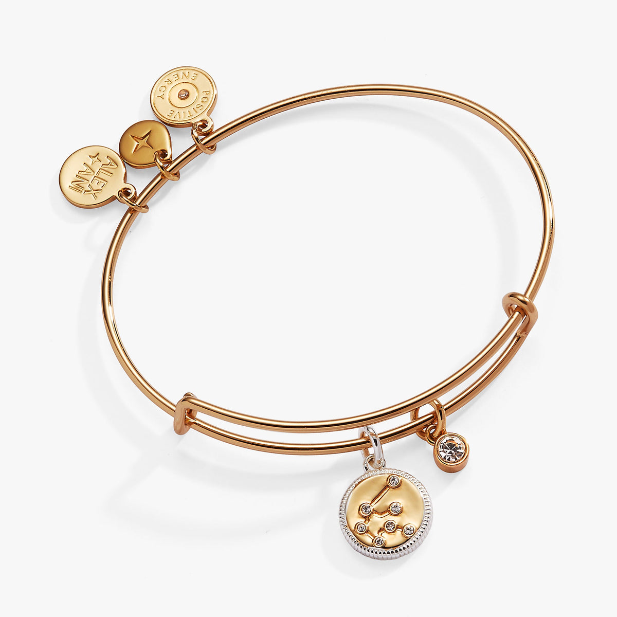 Aquarius Zodiac Charm Bangle Two Tone | Alex and Ani