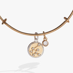 Aquarius Zodiac Charm Bangle Two Tone | Alex and Ani