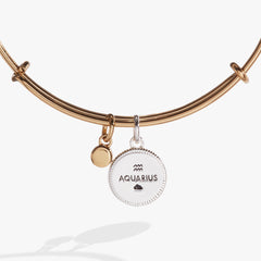 Aquarius Zodiac Charm Bangle Two Tone | Alex and Ani
