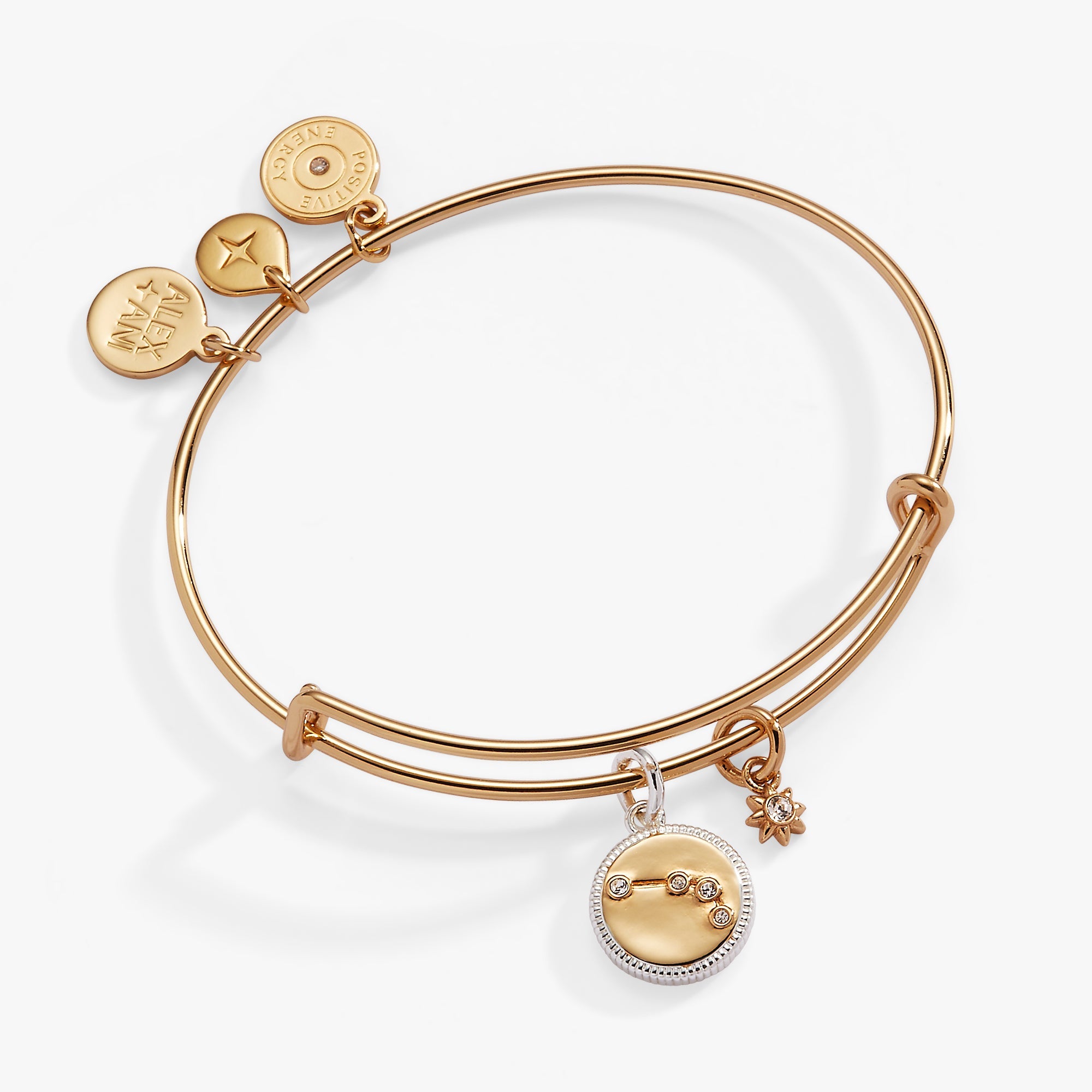 Aries Zodiac Charm Bangle Two Tone | Alex and Ani