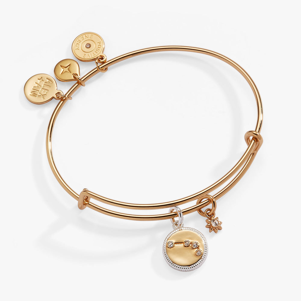 Aries Zodiac Charm Bangle Two Tone | Alex and Ani